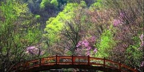 9月沈阳周边一日游