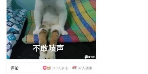 你在我的生命里意思