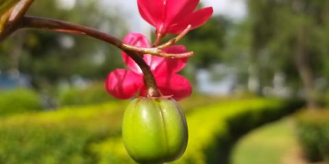 这句歌词‘时间累积,这盛夏的果实’是出自哪一首歌