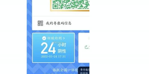 为什么粤康码加载不出来一直闪退