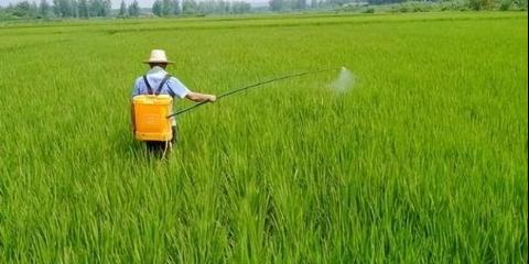 土霉素原料