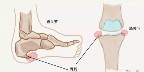 推荐几首好听的手机铃声、不要旋律、安静、动听的